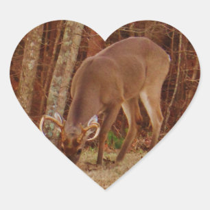 Red Oak Camouflage Stag Buck Deer Feeding Hart Sticker