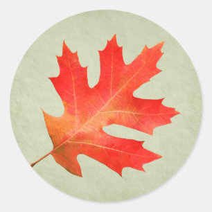 Red Oak Leaf Sticker