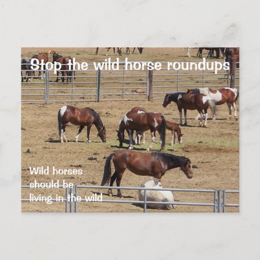 Red onze campagne voor wilde paarden briefkaart (Voorkant)