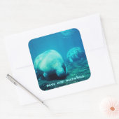 Red onze Manatees Stickers (Envelop)