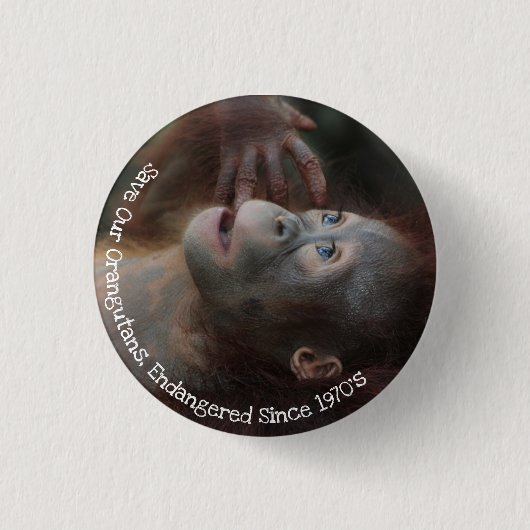 Red onze orangutans ronde button 3,2 cm (Voorkant)