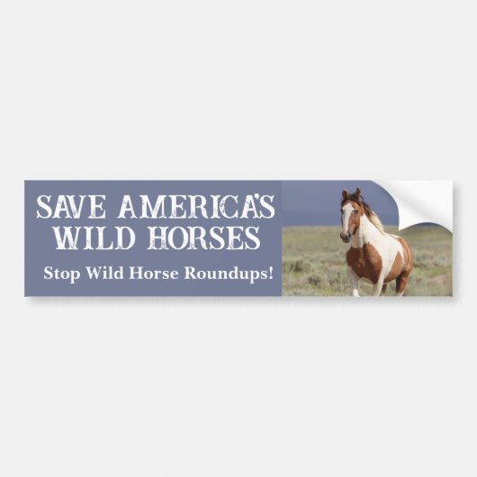 Red onze Wild Horses Sand Wash Basin Bumpersticker (Voorkant)