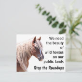 Red onze wilde paarden briefkaart (Staand voorkant)