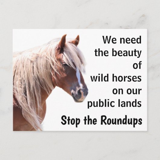 Red onze wilde paarden briefkaart (Voorkant)