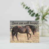 Red onze wilde paarden briefkaart (Staand voorkant)
