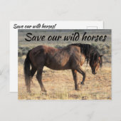 Red onze wilde paarden briefkaart (Voorkant / Achterkant)