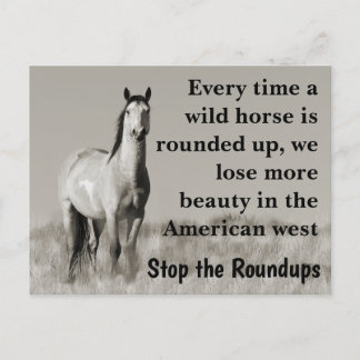 Red onze wilde paarden briefkaart