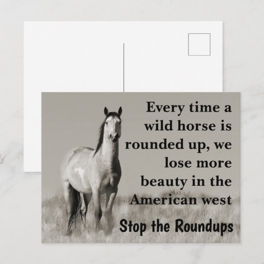 Red onze wilde paarden briefkaart (Voorkant / Achterkant)