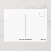 Red onze wilde paarden briefkaart (Achterkant)