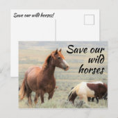Red onze wilde paarden briefkaart (Voorkant / Achterkant)