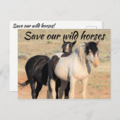 Red onze wilde paarden briefkaart (Voorkant / Achterkant)