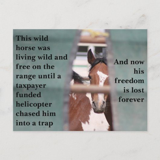 Red onze wilde paarden briefkaart (Voorkant)