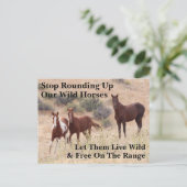 Red onze wilde paarden briefkaart (Staand voorkant)