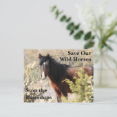 Red onze wilde paarden briefkaart (Staand voorkant)