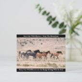 Red onze wilde paarden briefkaart (Staand voorkant)
