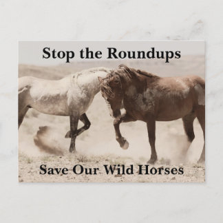 Red onze wilde paarden briefkaart