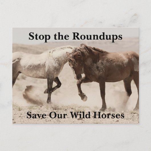 Red onze wilde paarden briefkaart (Voorkant)