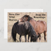 Red onze wilde paarden briefkaart (Voorkant / Achterkant)