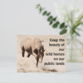 Red onze wilde paarden briefkaart (Staand voorkant)