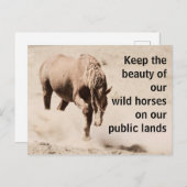 Red onze wilde paarden briefkaart (Voorkant / Achterkant)