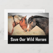 Red onze wilde paarden briefkaart (Voorkant / Achterkant)