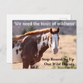 Red onze wilde paarden briefkaart (Voorkant / Achterkant)