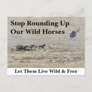 Red onze wilde paarden briefkaart