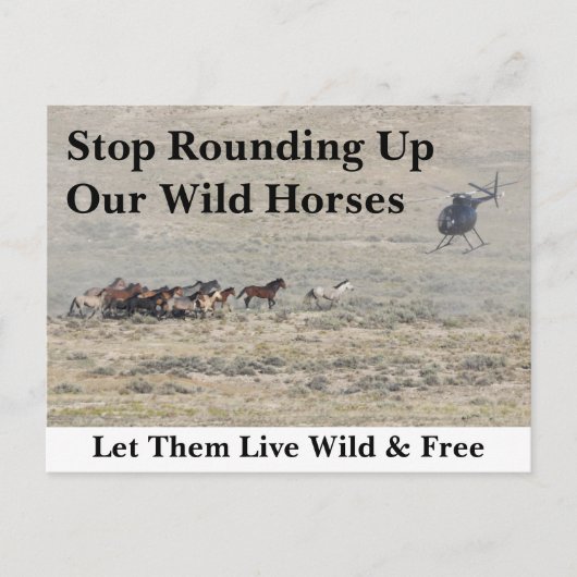 Red onze wilde paarden briefkaart (Voorkant)