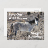 Red onze wilde paarden briefkaart (Voorkant / Achterkant)