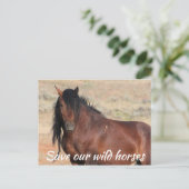 Red onze wilde paarden briefkaart (Staand voorkant)