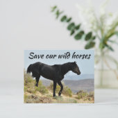 Red onze wilde paarden briefkaart (Staand voorkant)