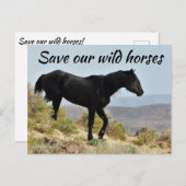 Red onze wilde paarden briefkaart (Voorkant / Achterkant)