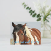 Red onze wilde paarden briefkaart (Staand voorkant)