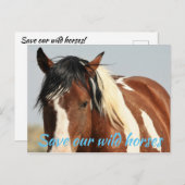 Red onze wilde paarden briefkaart (Voorkant / Achterkant)