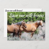 Red onze wilde paarden briefkaart (Voorkant / Achterkant)