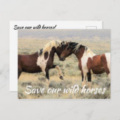 Red onze wilde paarden briefkaart (Voorkant / Achterkant)