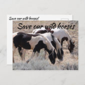 Red onze wilde paarden briefkaart (Voorkant / Achterkant)