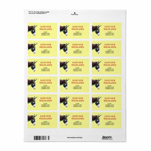 Red onze Wildlands 1 - Amerikaanse zuidwestelijke Etiket (Full Sheet)