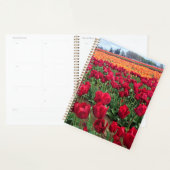 Red & Orange Tulip Field, Oregon (Devant avec enveloppe)