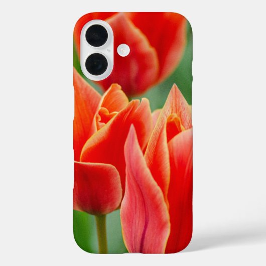 Red Orange Tulips iPhone 16 Case  (Achterkant)