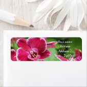 Red Orchid blossom Etiket (Insitu)
