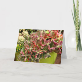 Red Pagoda Succulent card van Debra Lee Baldwin Kaart