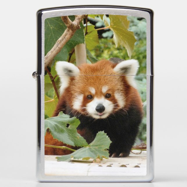 Red Panda (Voorkant)