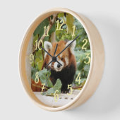 Red Panda (Hoek)