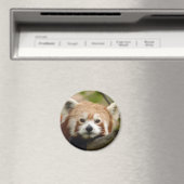 red-panda-010 magneet (Insitu (Vaatwasser))