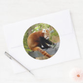 red-panda-039 ronde sticker (Envelop)