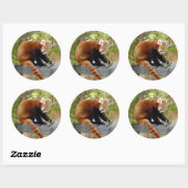 red-panda-039 ronde sticker (Vel)