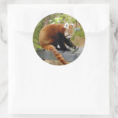 red-panda-039 ronde sticker (Tas)