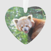Red_Panda_2015_0306 Ornament (achterkant)