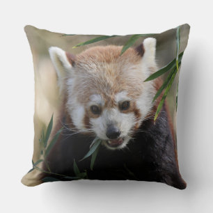 Red_Panda_2015_0311 Kussen